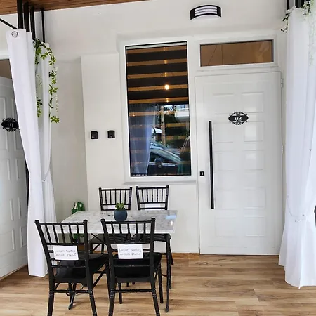 Luxury Artisti Elena 1 Apartment *